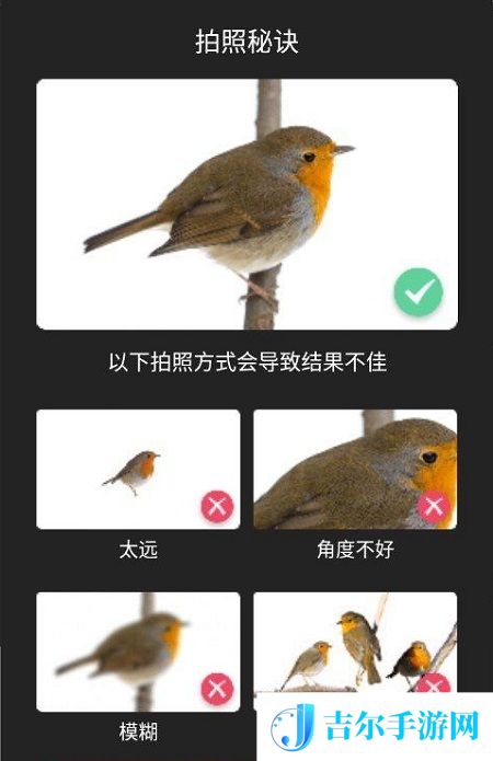 拍照识鸟的软件哪个好用