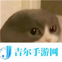 去年超神的安卓顶配，果然又神了！