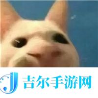 去年超神的安卓顶配，果然又神了！