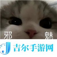 去年超神的安卓顶配，果然又神了！