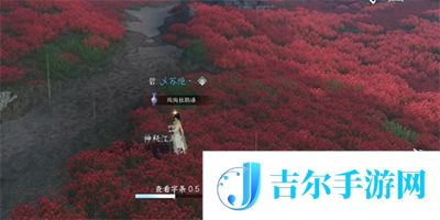 逆水寒手游童心寻趣奇遇任务怎么做