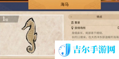 潜水员戴夫海马在哪