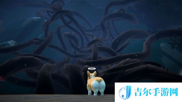 游侠网5