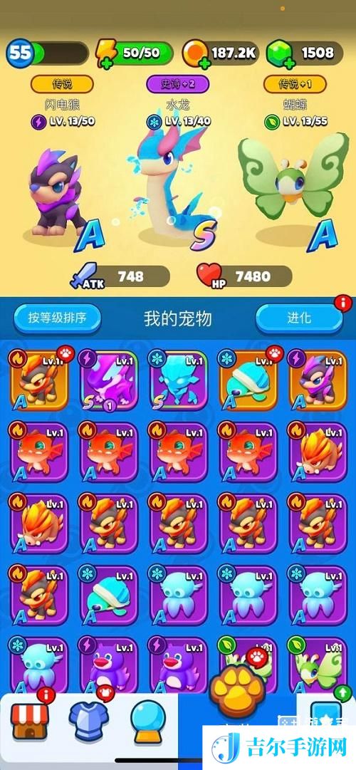 砰砰法师宠物推荐攻略