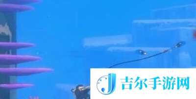 潜水员戴夫金枪鱼怎么抓