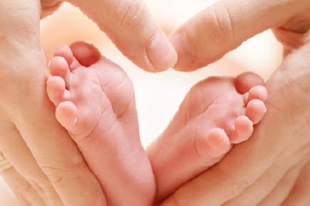 14画康熙字典起名用字