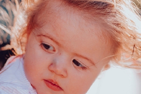 康熙字典13画属木的字及解释