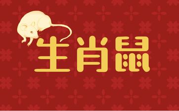 属鼠的今年多大2025-属鼠的今年多少岁了