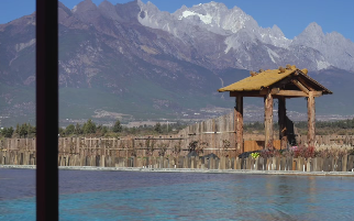 别墅周围种什么树风水好 这些树可能断财运